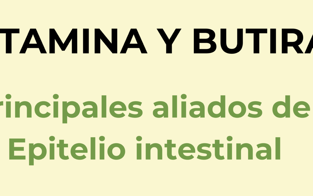 Glutamina y Butirato: Los dos aliados del epitelio intestinal